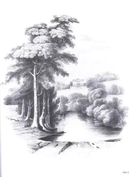 40张经典素描风景图，快来临摹吧