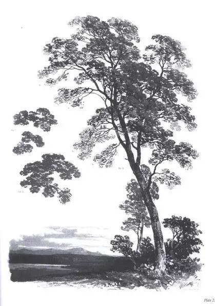 40张经典素描风景图，快来临摹吧