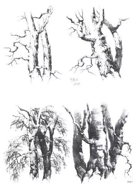 40张经典素描风景图，快来临摹吧