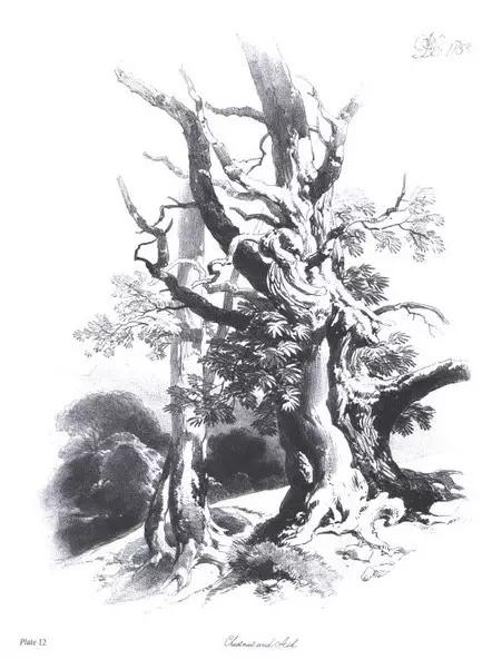 40张经典素描风景图，快来临摹吧