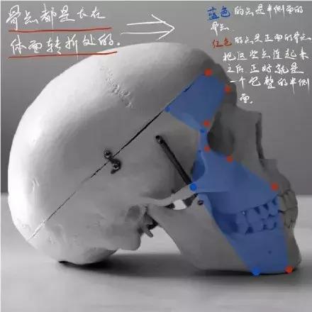 画不好素描头像？那你需要好好看下这篇文章