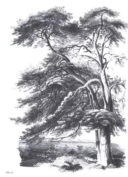 40张经典素描风景图，快来临摹吧