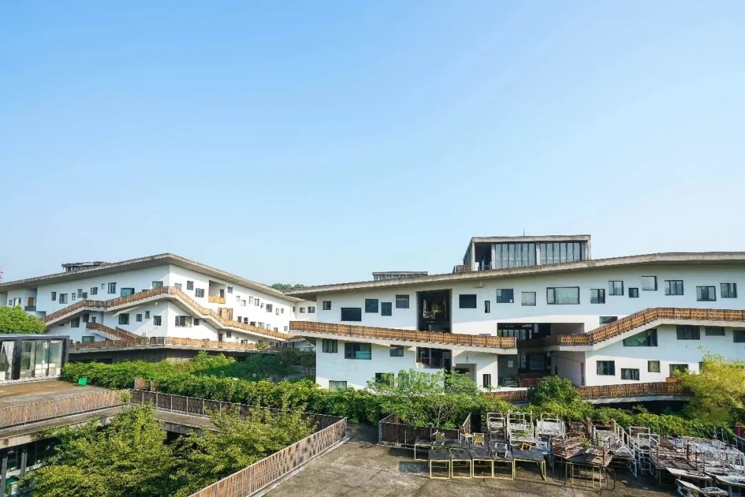 学美术文化分要多高才能被录取?九大美院录取线细则!