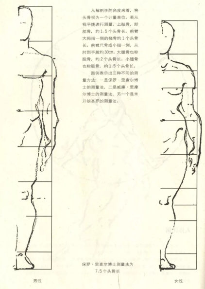 速写入门