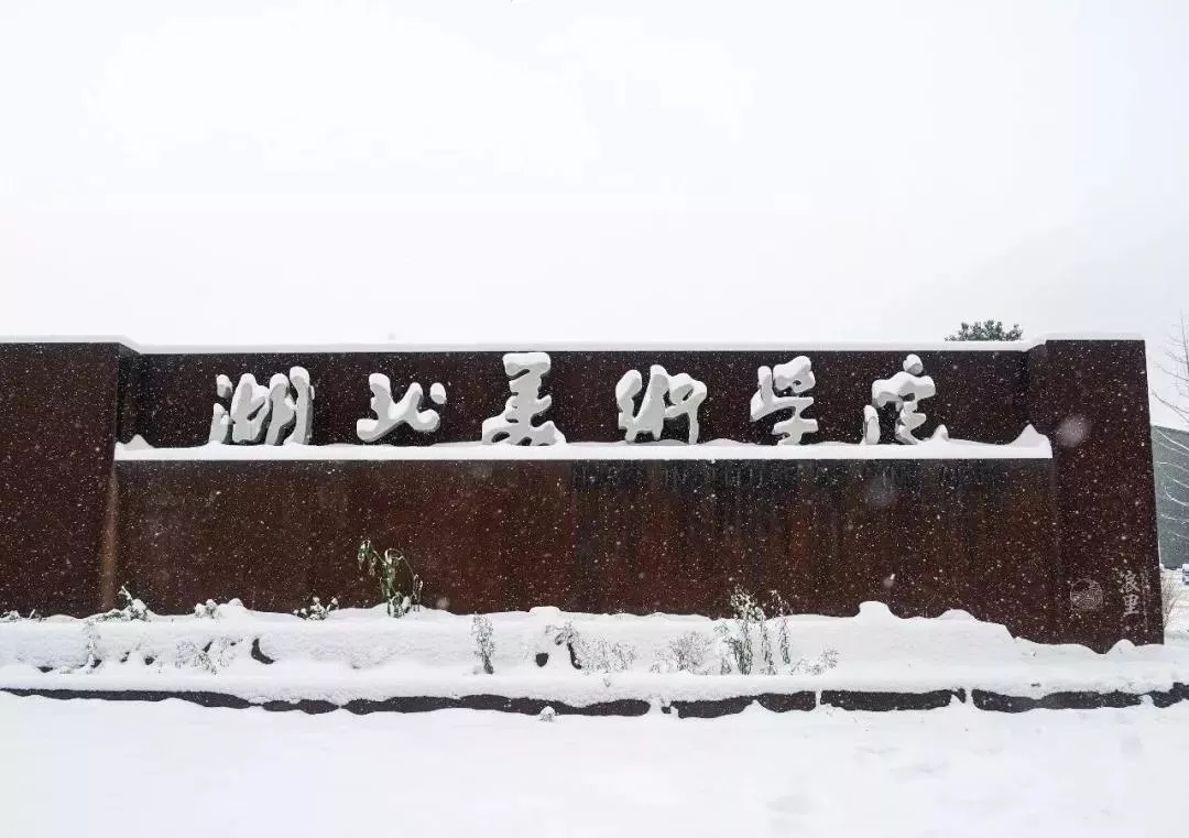 湖北美术学院雪景